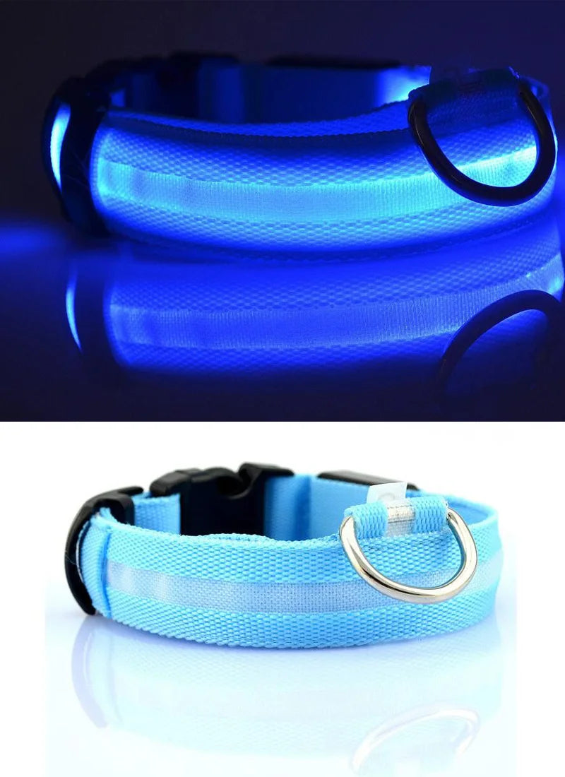 Nylon LED Pet Dog Collar Dogs Luminous Fluorescent Collars Pet Supplies Night Safety Flashing Glow in the Dark Dog Leash