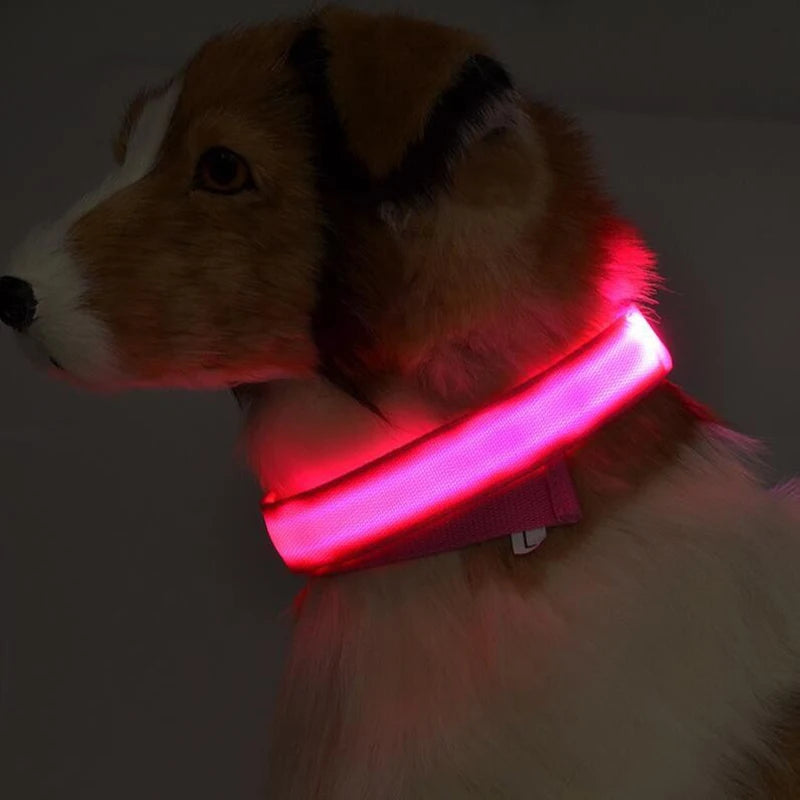 Nylon LED Pet Dog Collar Dogs Luminous Fluorescent Collars Pet Supplies Night Safety Flashing Glow in the Dark Dog Leash