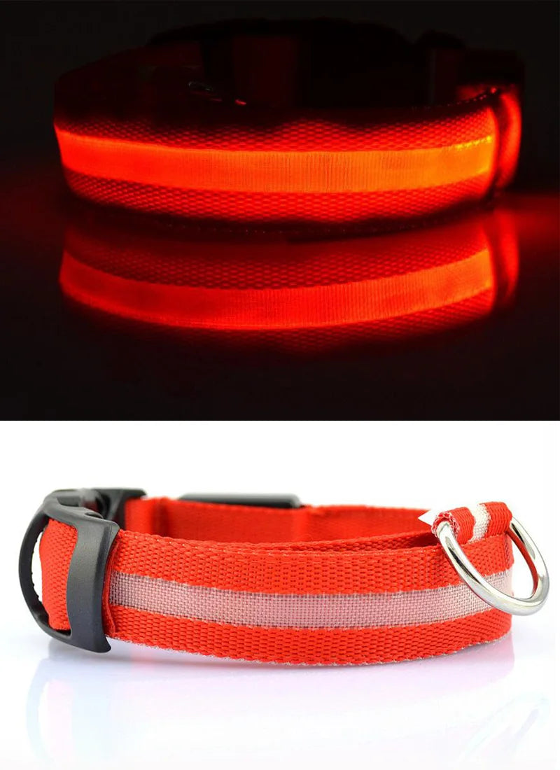 Nylon LED Pet Dog Collar Dogs Luminous Fluorescent Collars Pet Supplies Night Safety Flashing Glow in the Dark Dog Leash