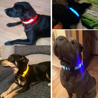 Nylon LED Pet Dog Collar Dogs Luminous Fluorescent Collars Pet Supplies Night Safety Flashing Glow in the Dark Dog Leash