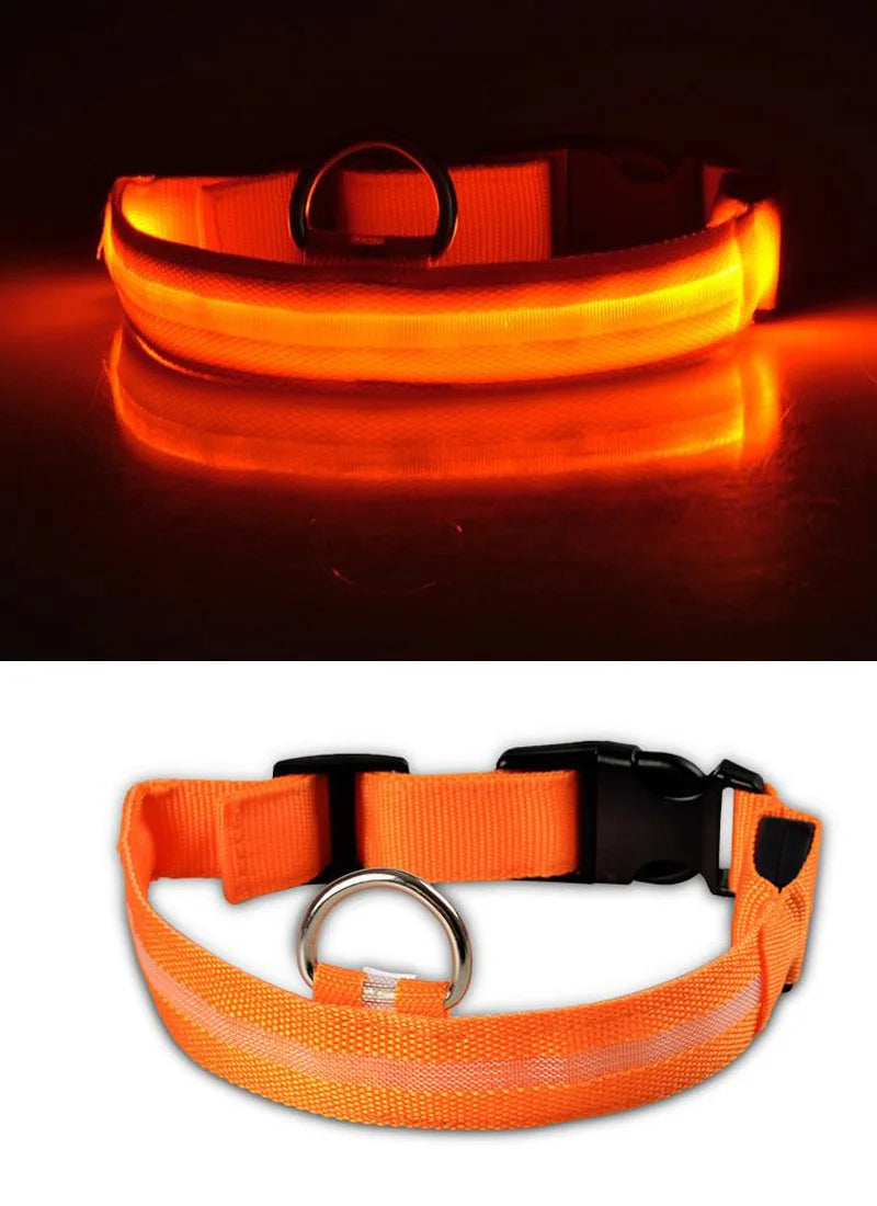 Nylon LED Pet Dog Collar Dogs Luminous Fluorescent Collars Pet Supplies Night Safety Flashing Glow in the Dark Dog Leash