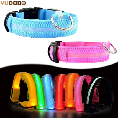 Nylon LED Pet Dog Collar Dogs Luminous Fluorescent Collars Pet Supplies Night Safety Flashing Glow in the Dark Dog Leash