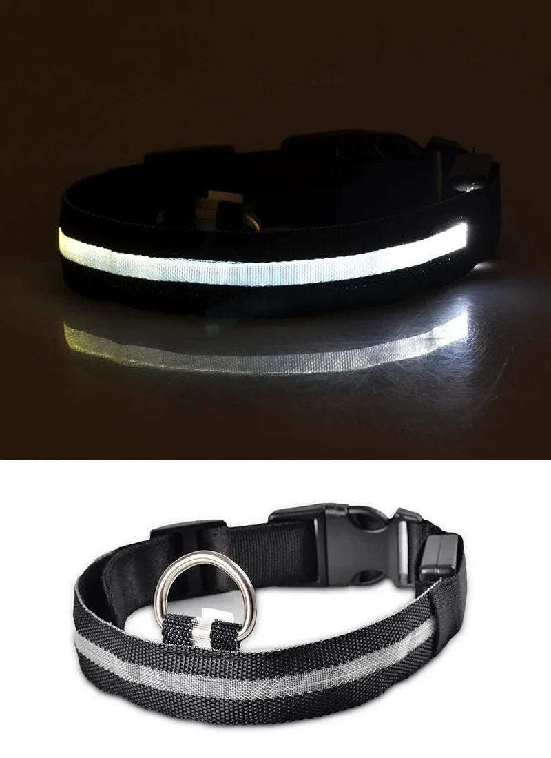 Nylon LED Pet Dog Collar Dogs Luminous Fluorescent Collars Pet Supplies Night Safety Flashing Glow in the Dark Dog Leash